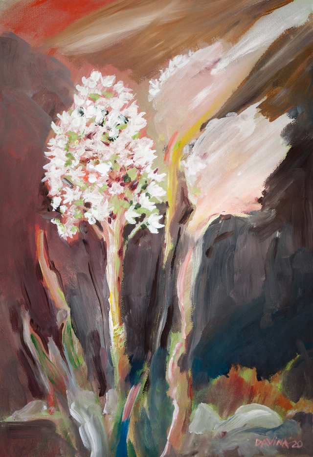 Sacred Landscapes Bear Grass, acrylic on paper